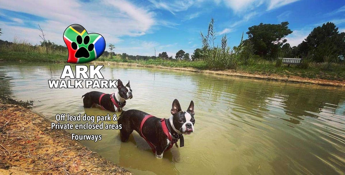 Ark Doggy Resort