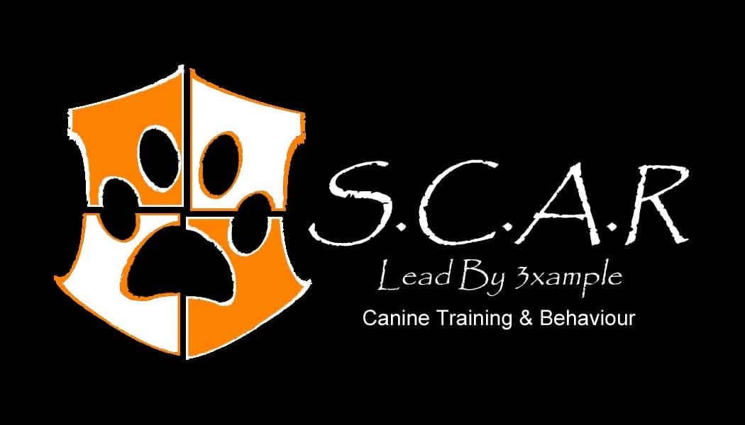 S.C.A.R Canine Training and Behaviour, Randparkridge Veterinary Hospital — photo 2
