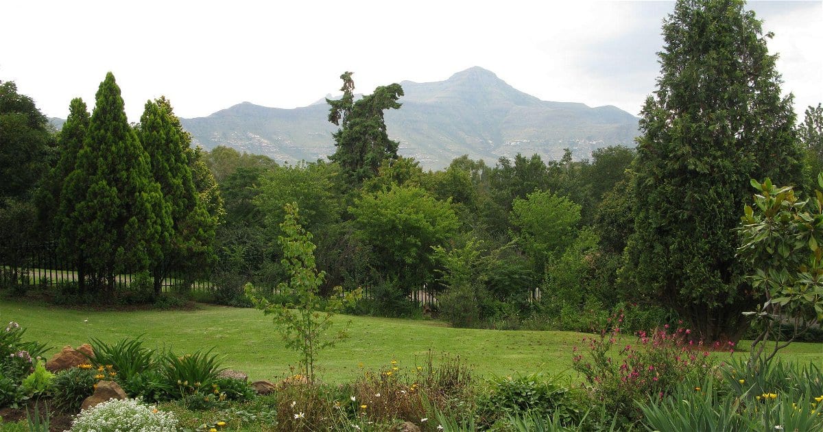 Clarens on Collett
