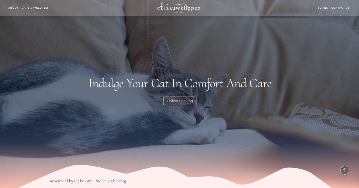 Blaauwklippen Cattery