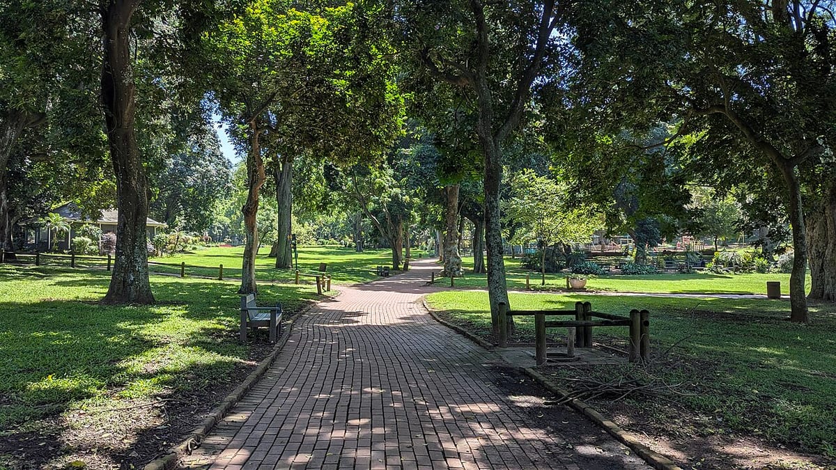Mitchell Park