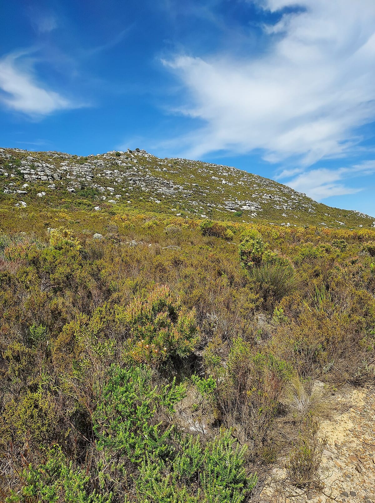 Silvermine Reservoir