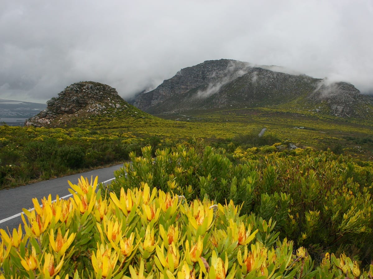Silvermine Dam