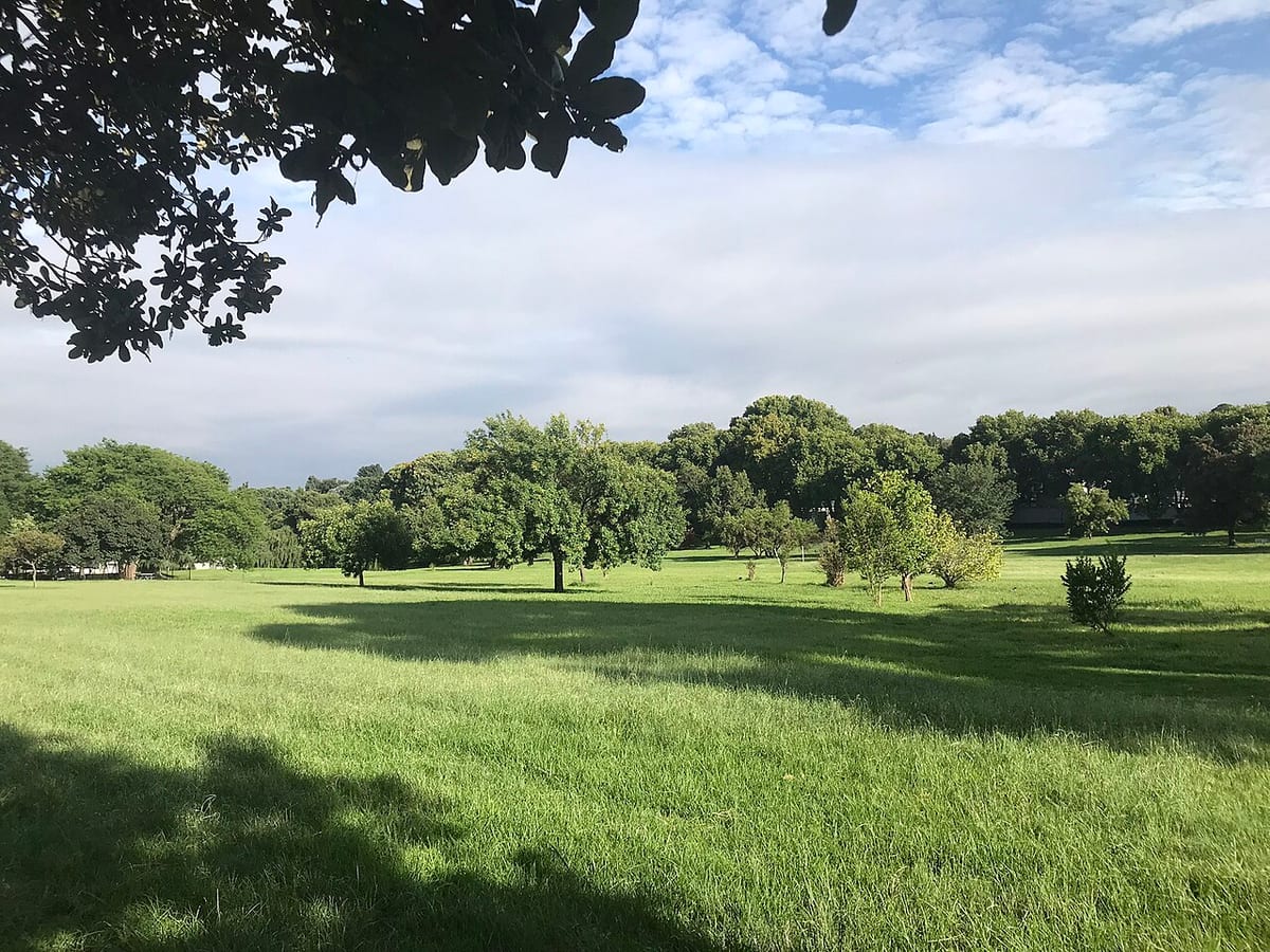 Hugh Wyndham Park