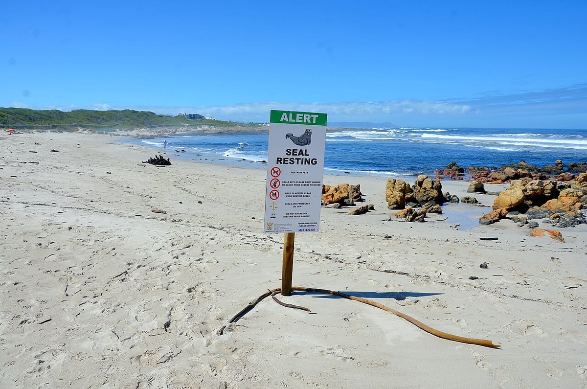 Onrus Beach