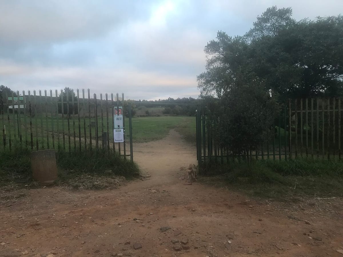 Emmarentia Park