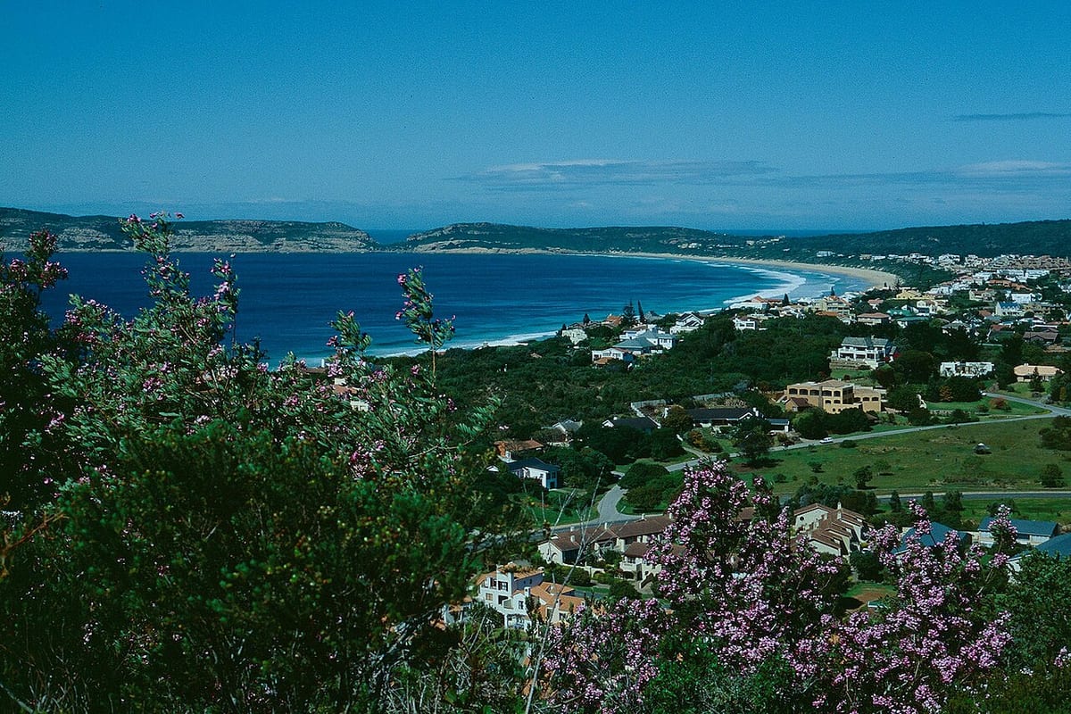 Whale Tail Lookout Point