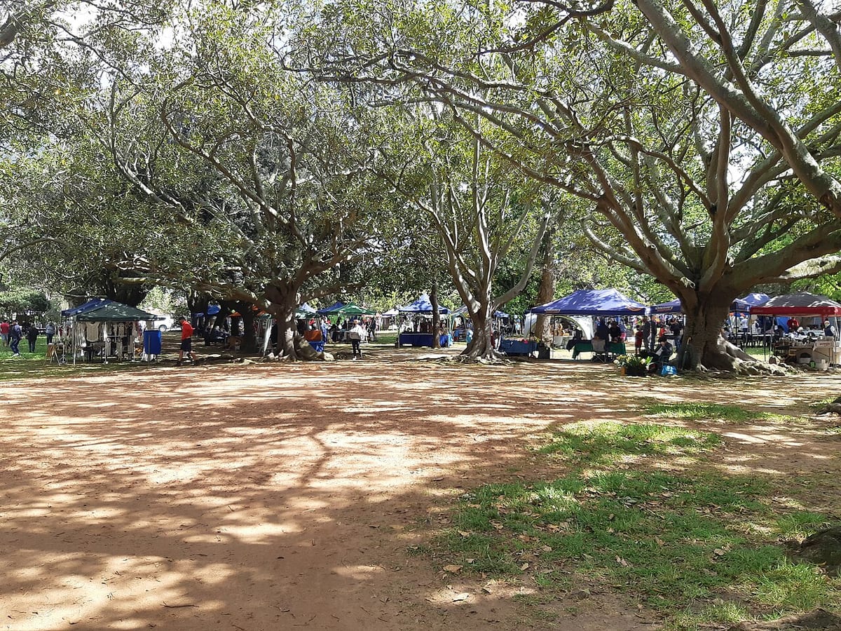 Rondebosch Park