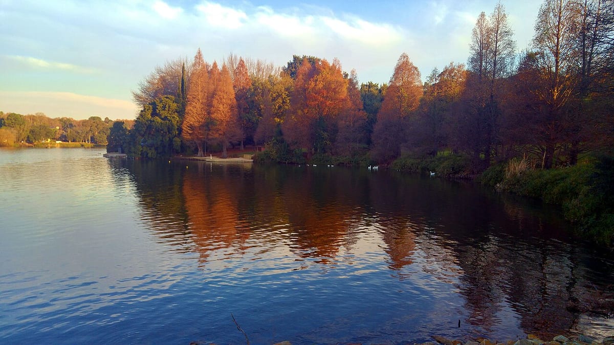 Emmarentia Park
